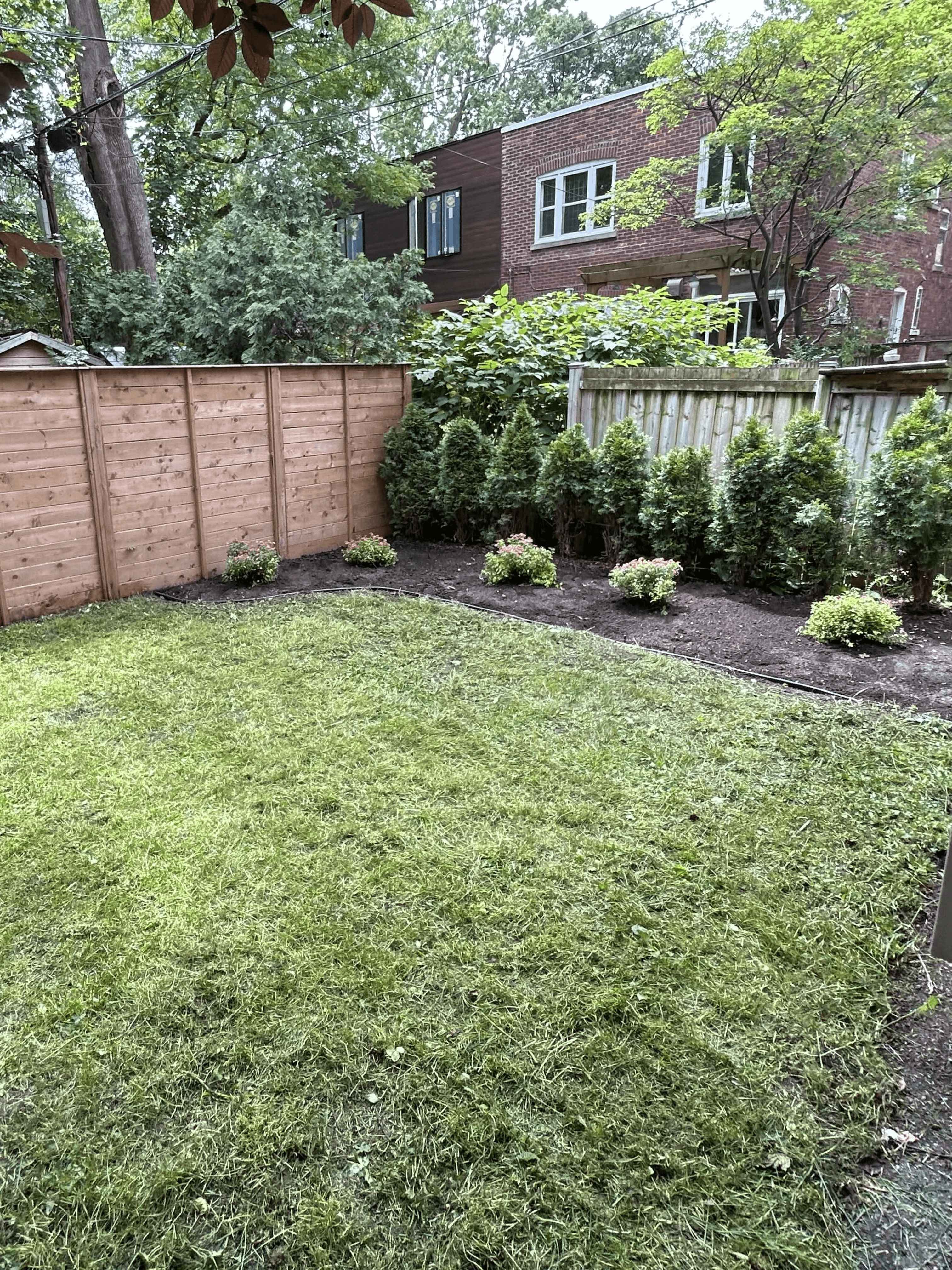 After: Complete Garden Bed Transformation