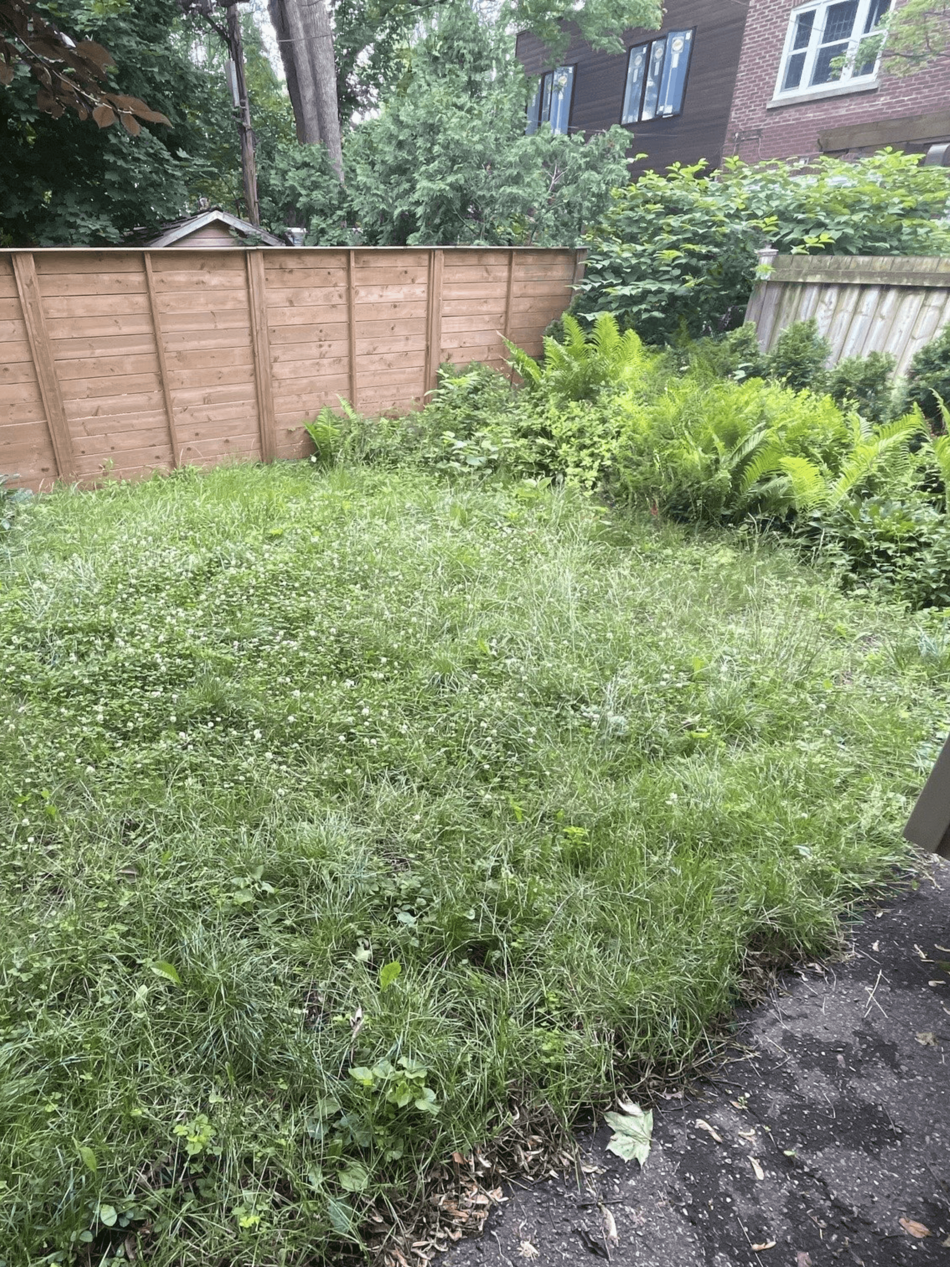 Before: Complete Garden Bed Transformation