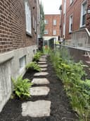 Walkway Weeding and Mulching